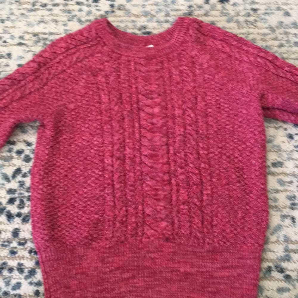 Gap Women’s knit braided sweater